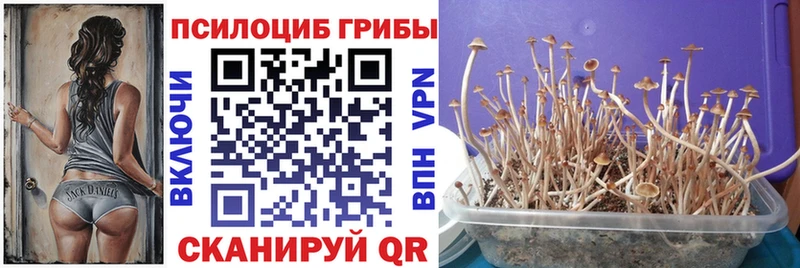 Псилоцибиновые грибы ЛСД Родники